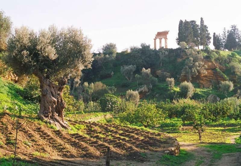 Dimora Dei Greci Apartment Agrigento Luaran gambar